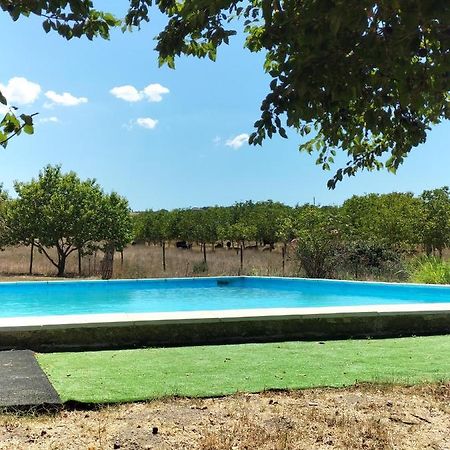 Rod Ranch Livestock - Stanza Doppia Con Letti Singoli Villa Campagnano Di Roma Kültér fotó