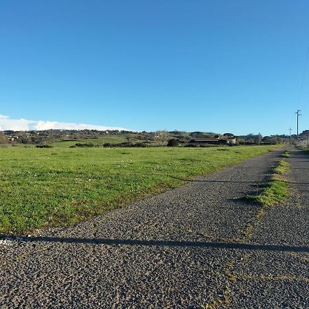 Rod Ranch Livestock - Stanza Doppia Con Letti Singoli Villa Campagnano Di Roma Kültér fotó